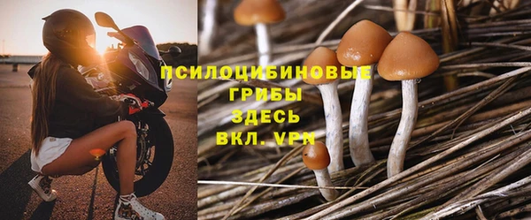 гидропоника Бородино