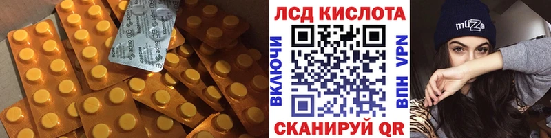 магазин продажи наркотиков  Камышлов  LSD-25 экстази кислота 
