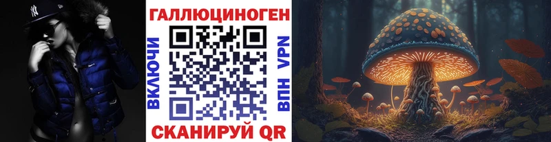 Псилоцибиновые грибы MAGIC MUSHROOMS Камышлов