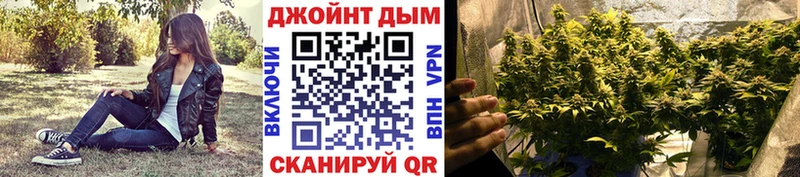 блэк спрут сайт  Камышлов  мориарти состав  Шишки марихуана White Widow 